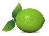 Lime